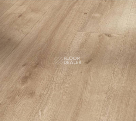 Ламинат Parador Basic Plus 400 1426462 Дуб Шлифованный фото 1 | FLOORDEALER